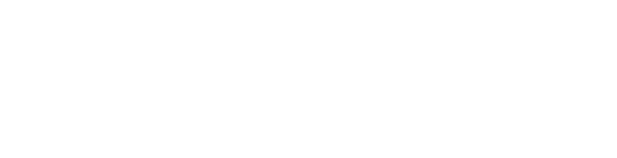 NetAlive logo