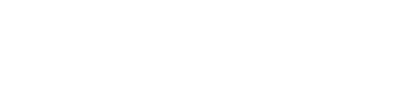 NetAlive Logo